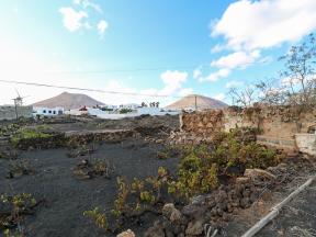 House For sale Guime in Lanzarote Property photo 14