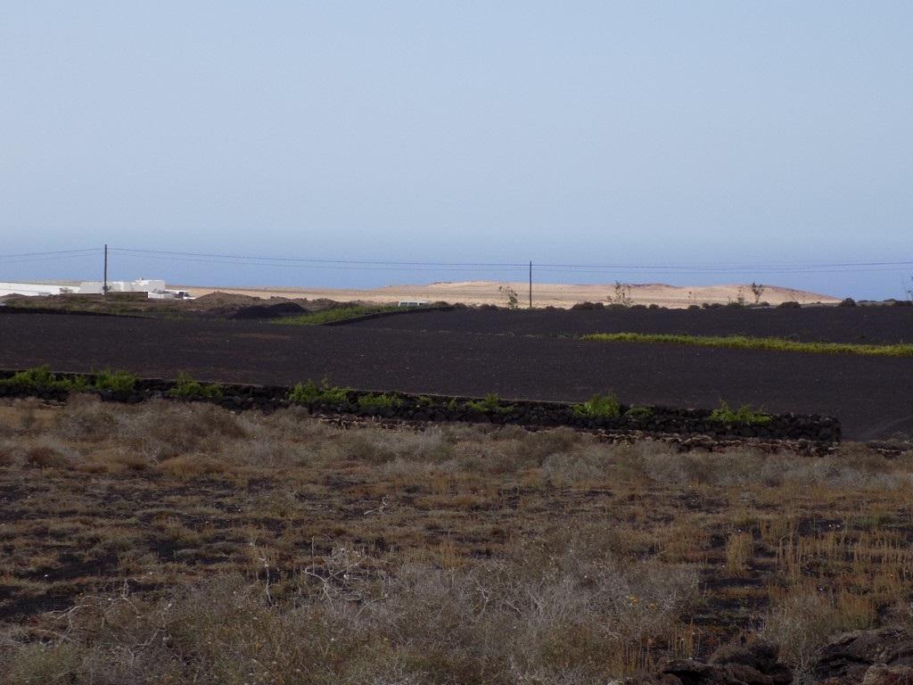 Terreno Rustico Vendita La Vegueta in Lanzarote Foto della proprietà 3