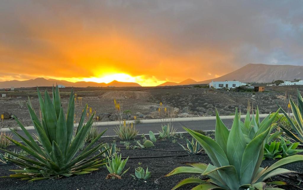 Venta Villa Macher Lanzarote