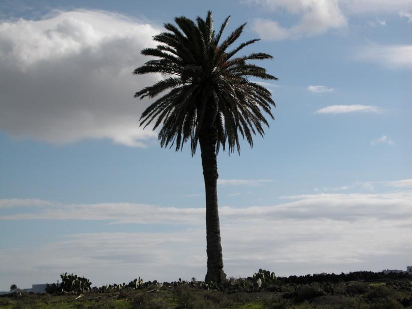 Building plot For sale Maguez in Lanzarote
