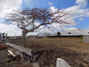 Venta Solar Muñique Lanzarote