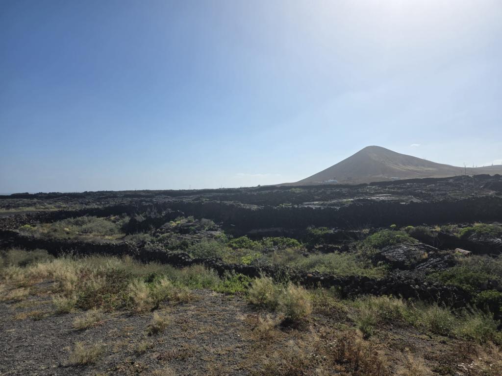 Solar Vendita Tahiche in Lanzarote