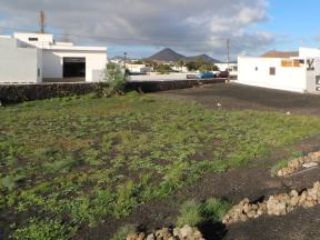 Building plot For sale Tiagua in Lanzarote Property photo 3