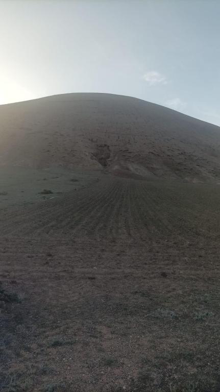 Venta Parcela Tiagua Lanzarote