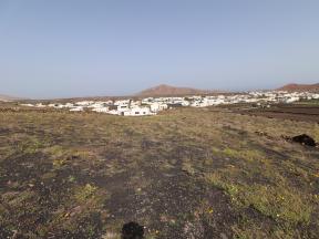 Building plot For sale Tinajo in Lanzarote