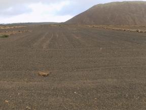 Ground For sale Ye in Lanzarote Property photo 3